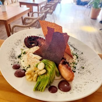 SaColla.com imagen (3)